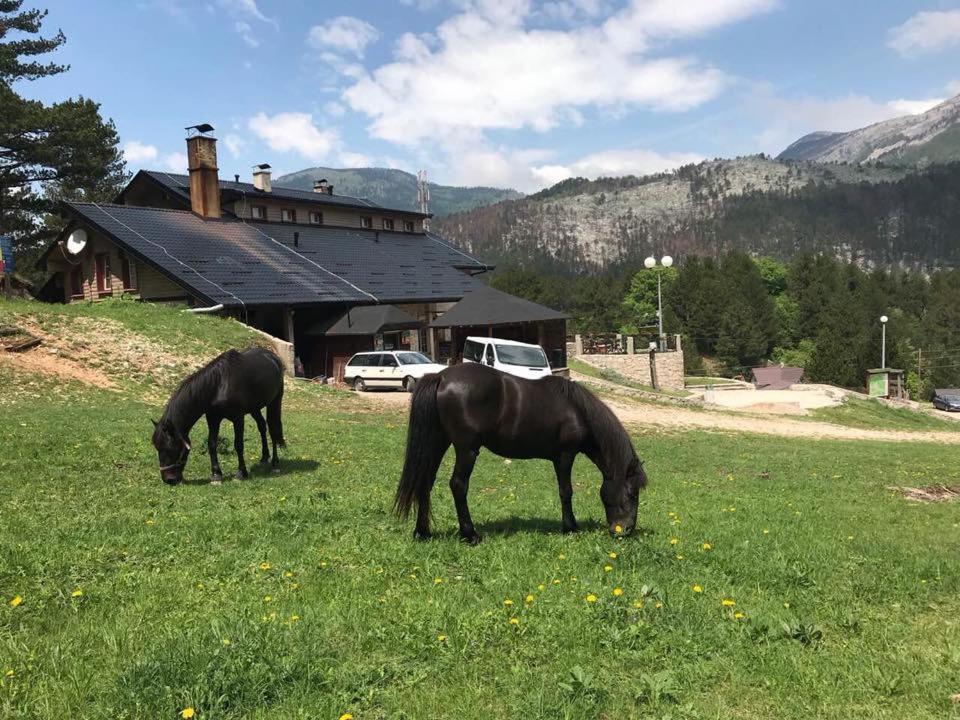 Hotel Snjezna Kuca - Nature Park Of Bosnia Herzegovina Padezina Exterior photo